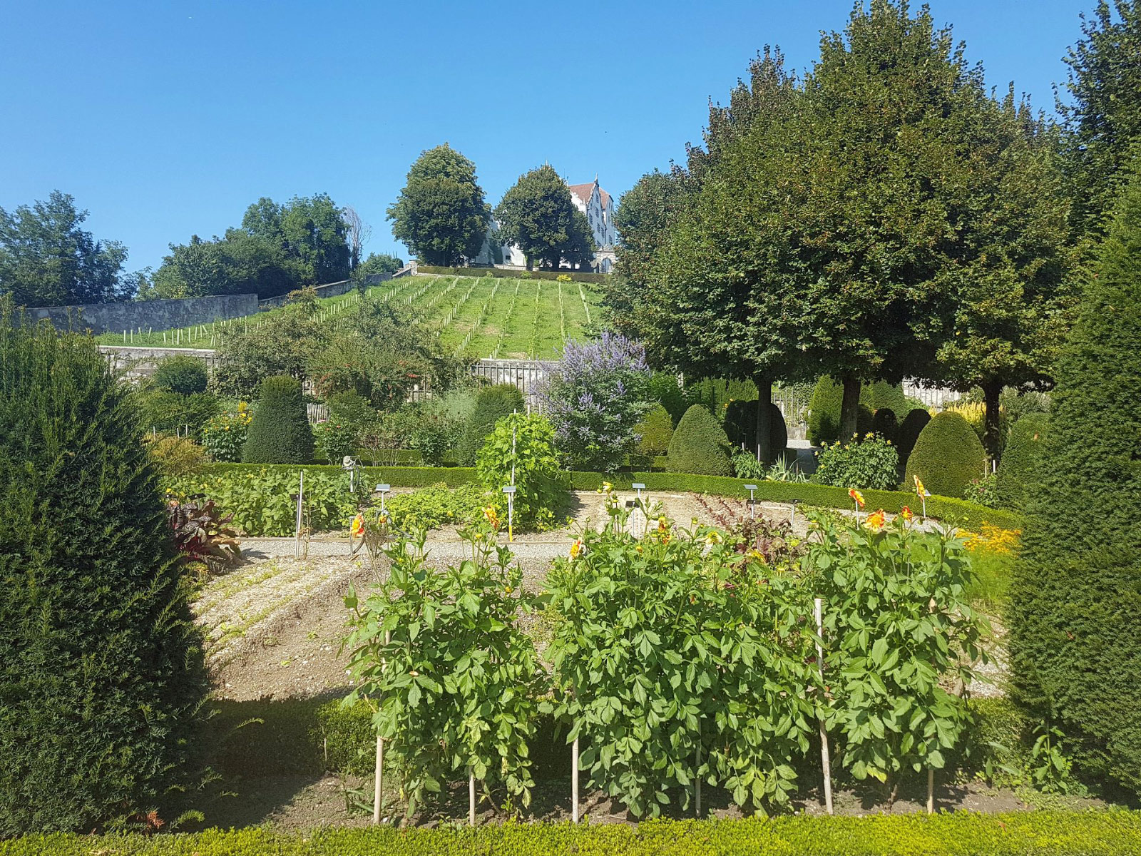 Schloss Wildegg